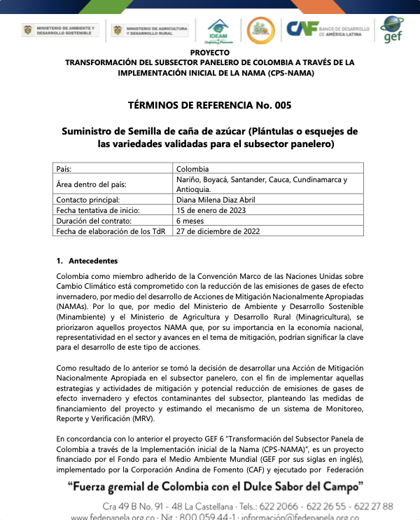 TdR 005 SUMINISTRO DE SEMILLA AÑO 1