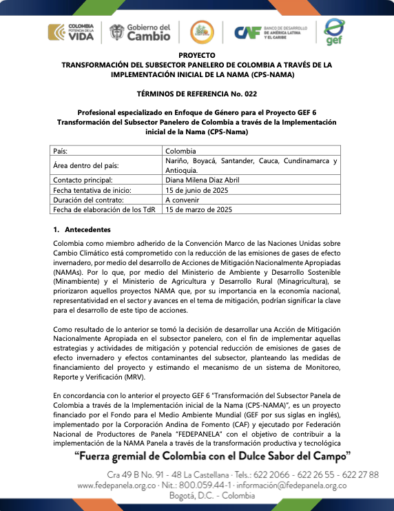 TdR 022 PROFESIONAL ENFOQUE DE GÉNERO