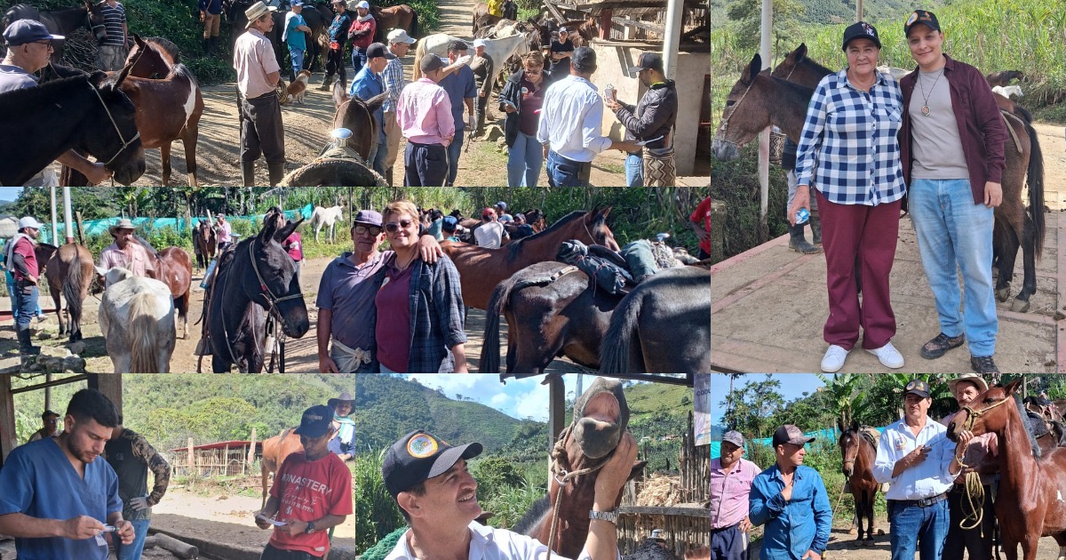 Gran jornada participativa de bienestar animal dirigida a equinos utilizados en las labores de los predios paneleros