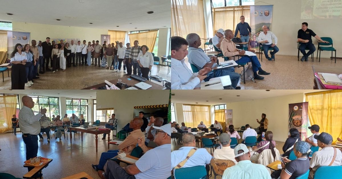 El Cauca aporta a la hoja de ruta del subsector panelero 2026-2030