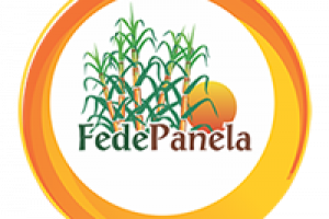 Logo Fedepanela